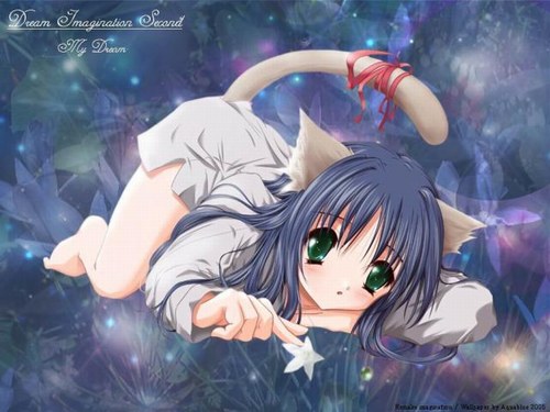 neko stars